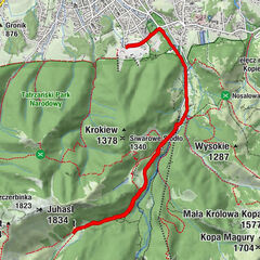 Zakopane, województwo małopolskie/Polska