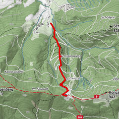 Aurach am Hongar, Oberösterreich/Österreich