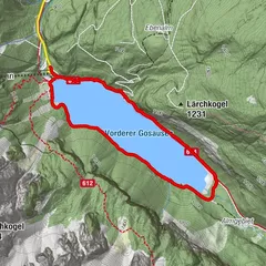 Gosau, Upper Austria/Austria