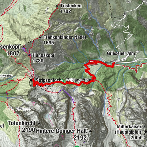 Kirchdorf in Tirol, Tirol/Österreich