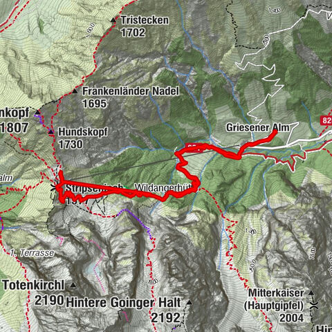 Kirchdorf in Tirol, Tirol/Österreich