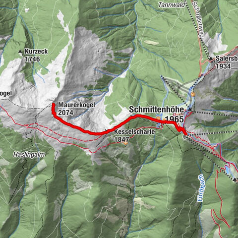 Piesendorf, Salzburg/Österreich