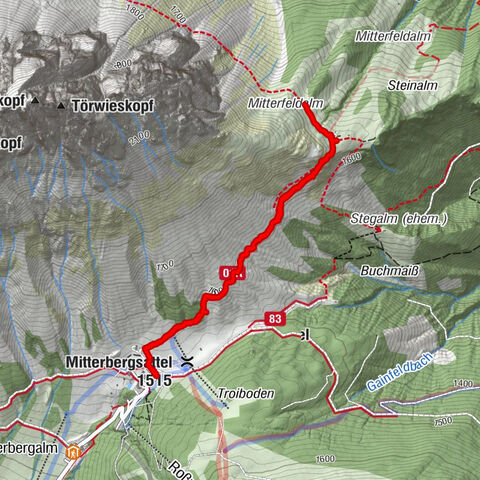 Mühlbach am Hochkönig, Salzburg/Österreich