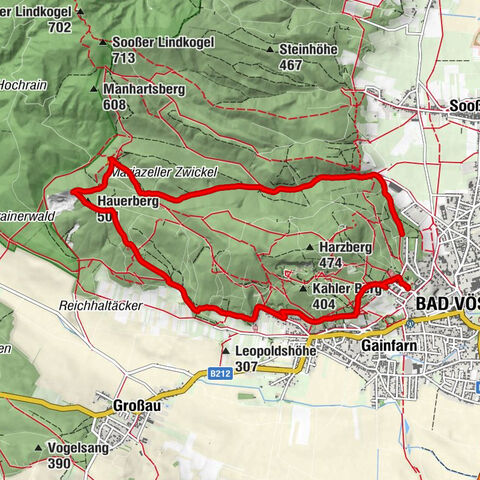 Bad Vöslau, Lower Austria/Austria