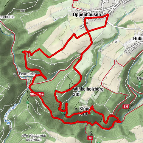 Oppenhausen, Rheinland-Pfalz/Deutschland