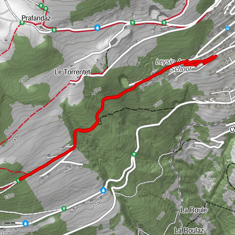 Leysin, Waadt/Schweiz
