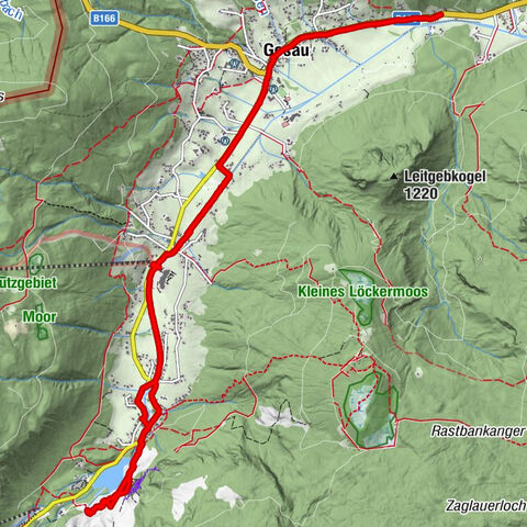 Gosau, Oberösterreich/Österreich