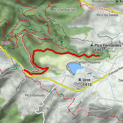 12718682-Levada do Alecrim