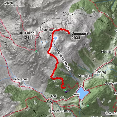 Gurtnellen, Uri/Schweiz/Suisse/Svizzera/Svizra