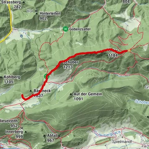 Puchberg am Schneeberg, Niederösterreich/Österreich