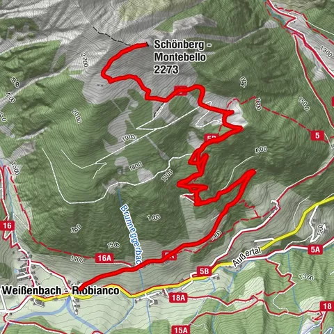 Schönberg von Weissenbach mit Saskia
