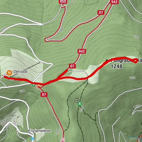 Vorau, Steiermark/Österreich