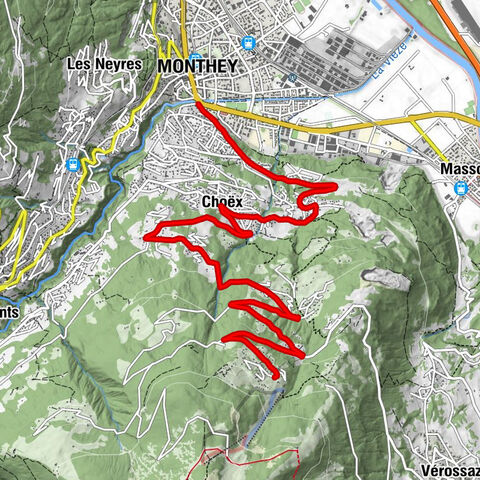 Carte