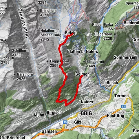 Carte