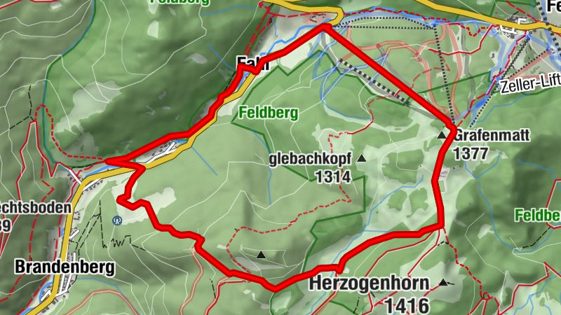 Carte