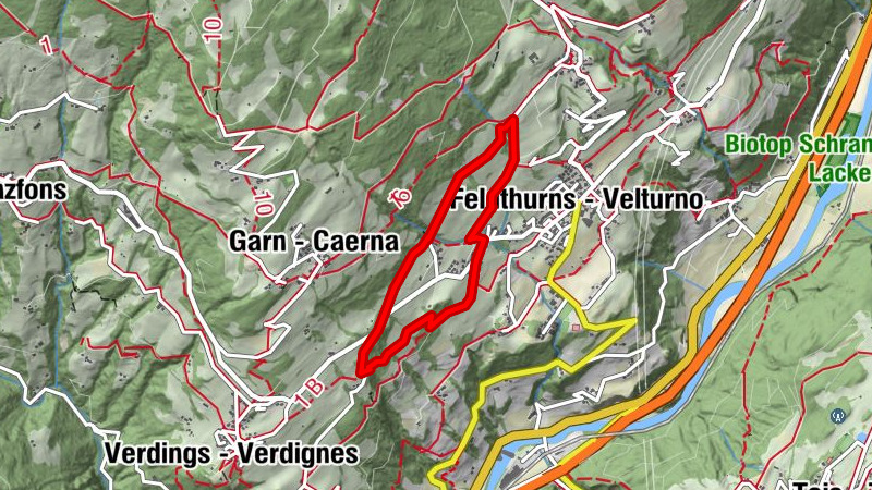 Carte