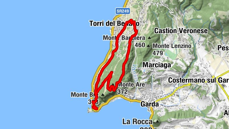 Carte