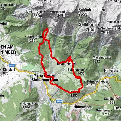 Carte