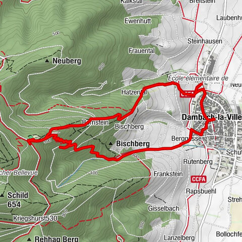 Carte