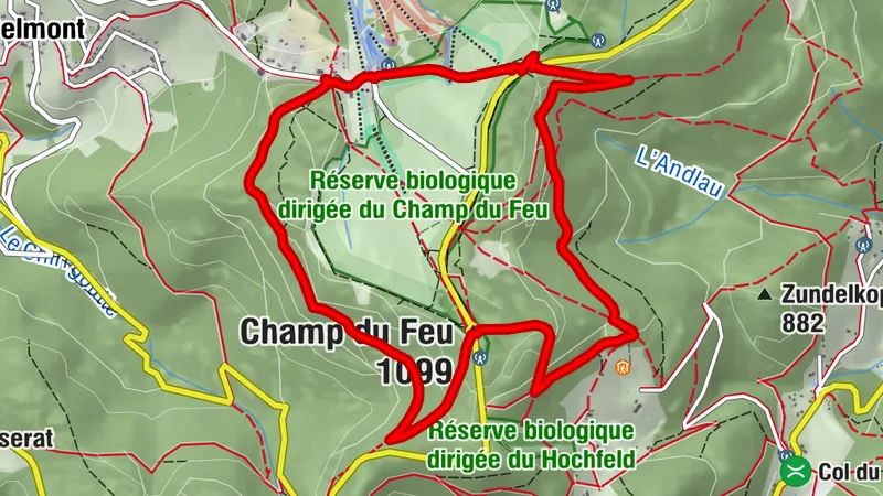 Carte