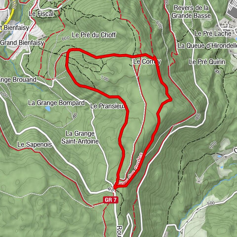 Randonnée - Les poudingues et la Roche Tocquaine