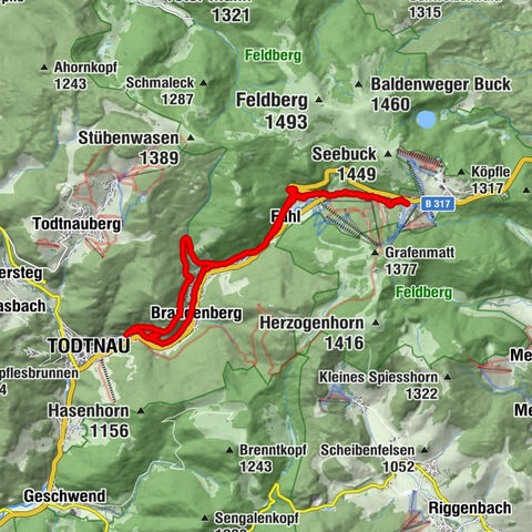 Carte