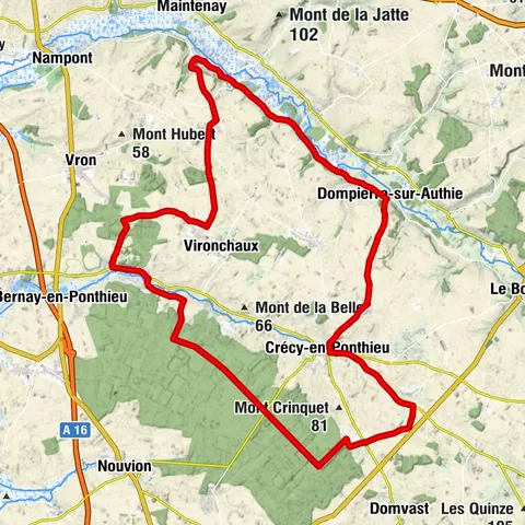 Les vieux chênes