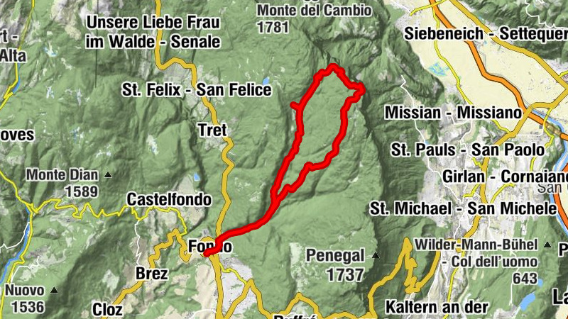 Carte