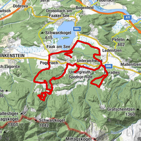 Carte
