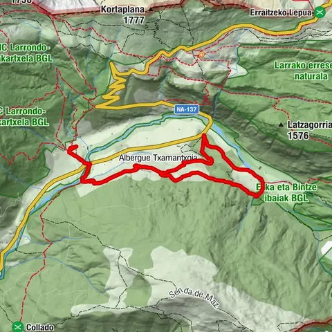 Navarra - Dronda Mata de Haya. Belagua