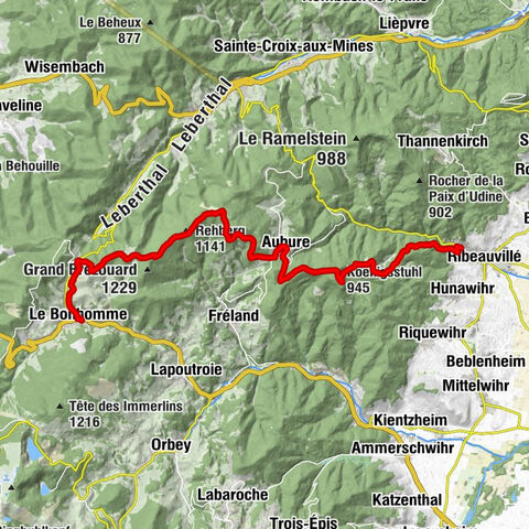 Carte