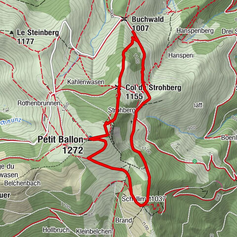 Carte