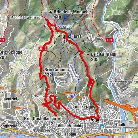 Carte