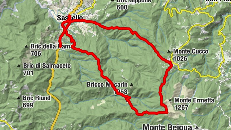 Carte