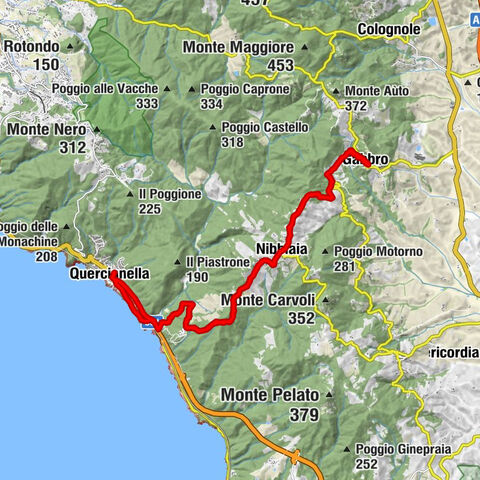 Carte