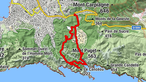 Carte