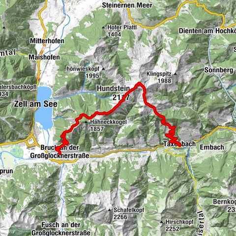 Carte