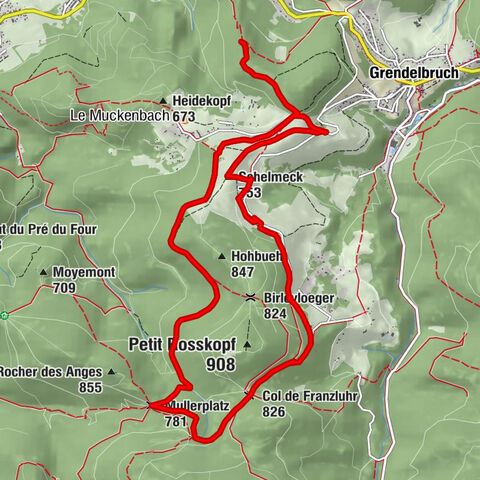 Carte