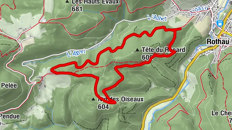 Carte