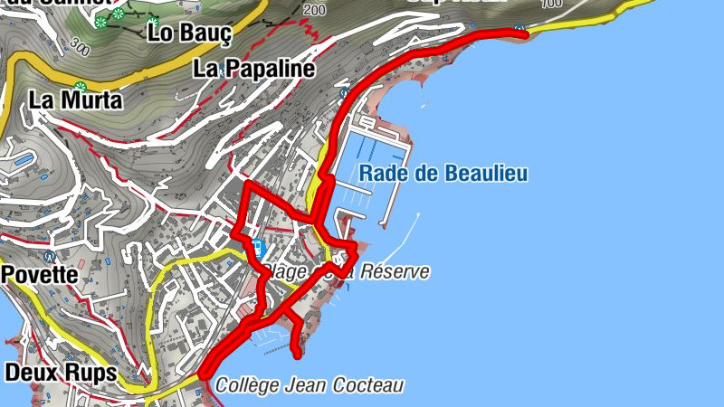 Carte