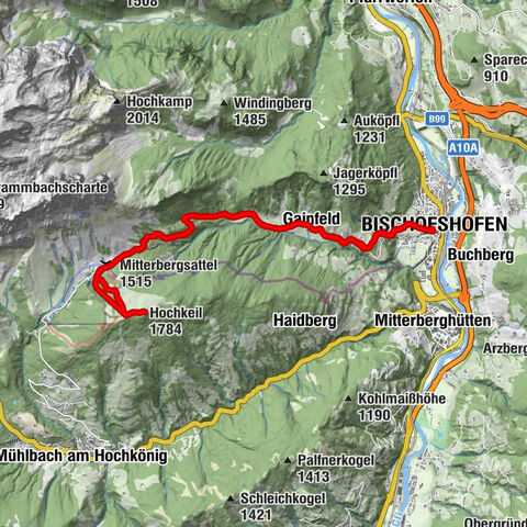 Carte