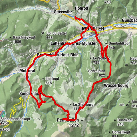 Carte