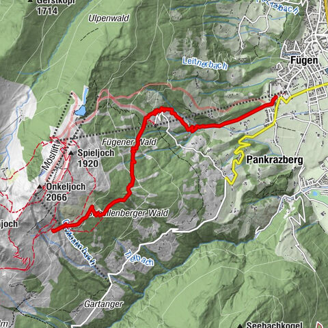 Carte