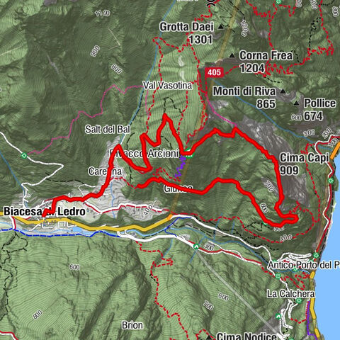 Carte