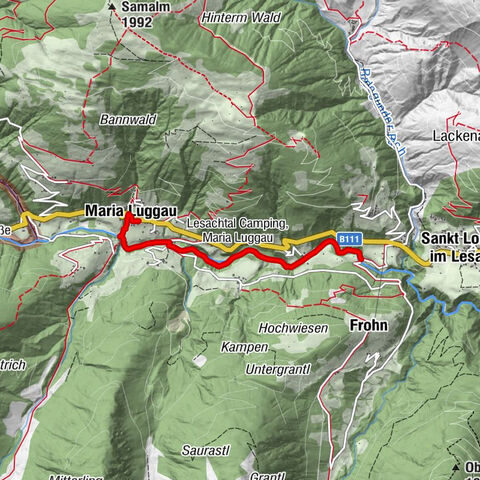 Carte