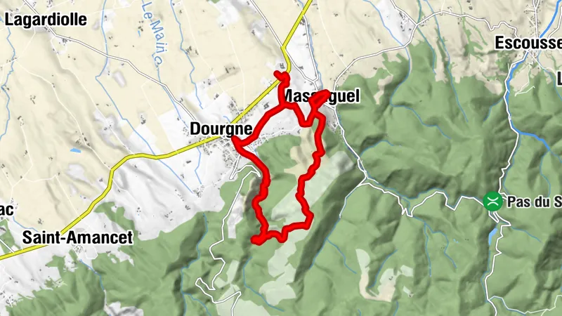 Carte