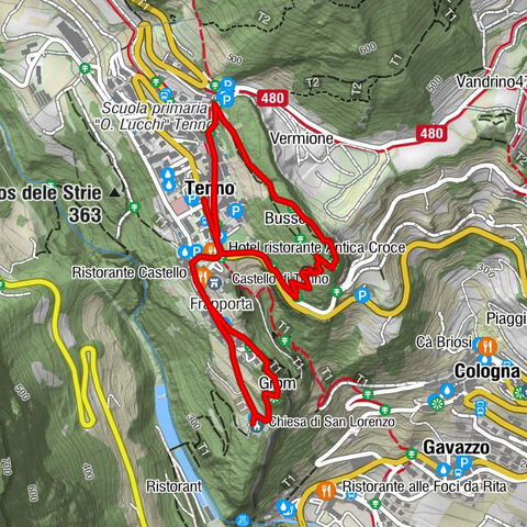 Carte