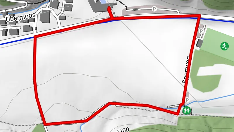 Parcours du bois des vers