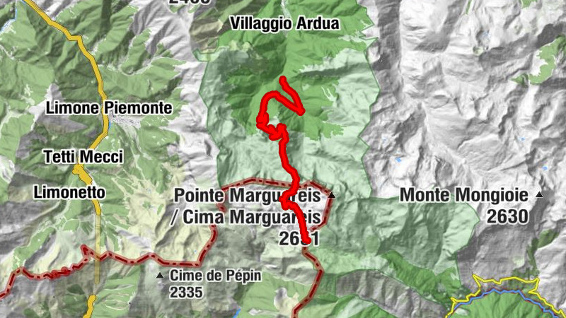 Carte
