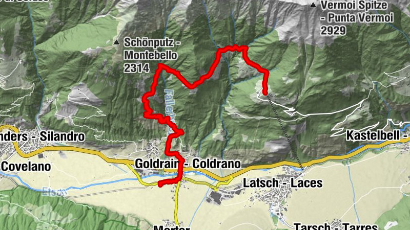 Carte